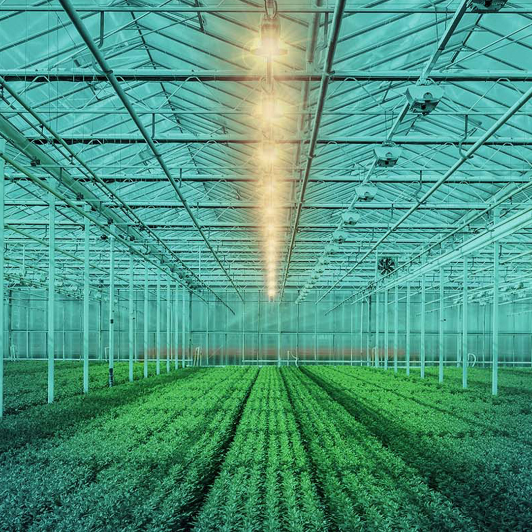techno-lighting agricoltura e allevamento