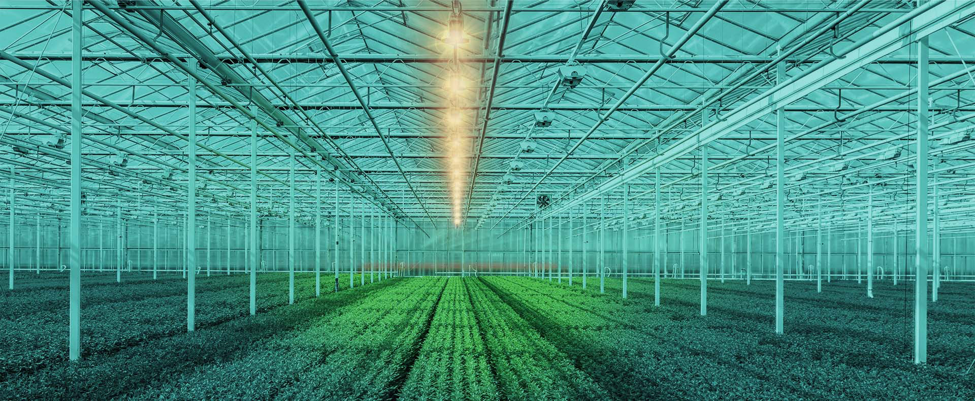 techno-lighting agricoltura e allevamento